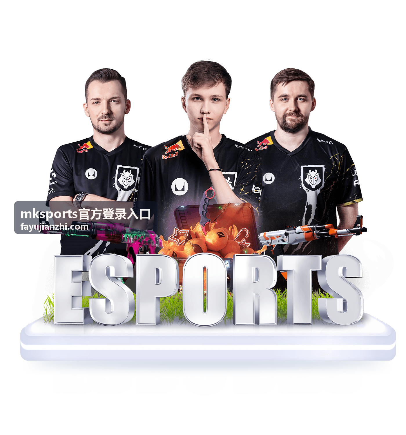 mksports官方登录入口 登录流程示意